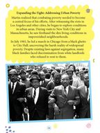 Dreamland Publications Martin Luther King Icons of Inspiration Illustrated Biography For Kids | Grocsy