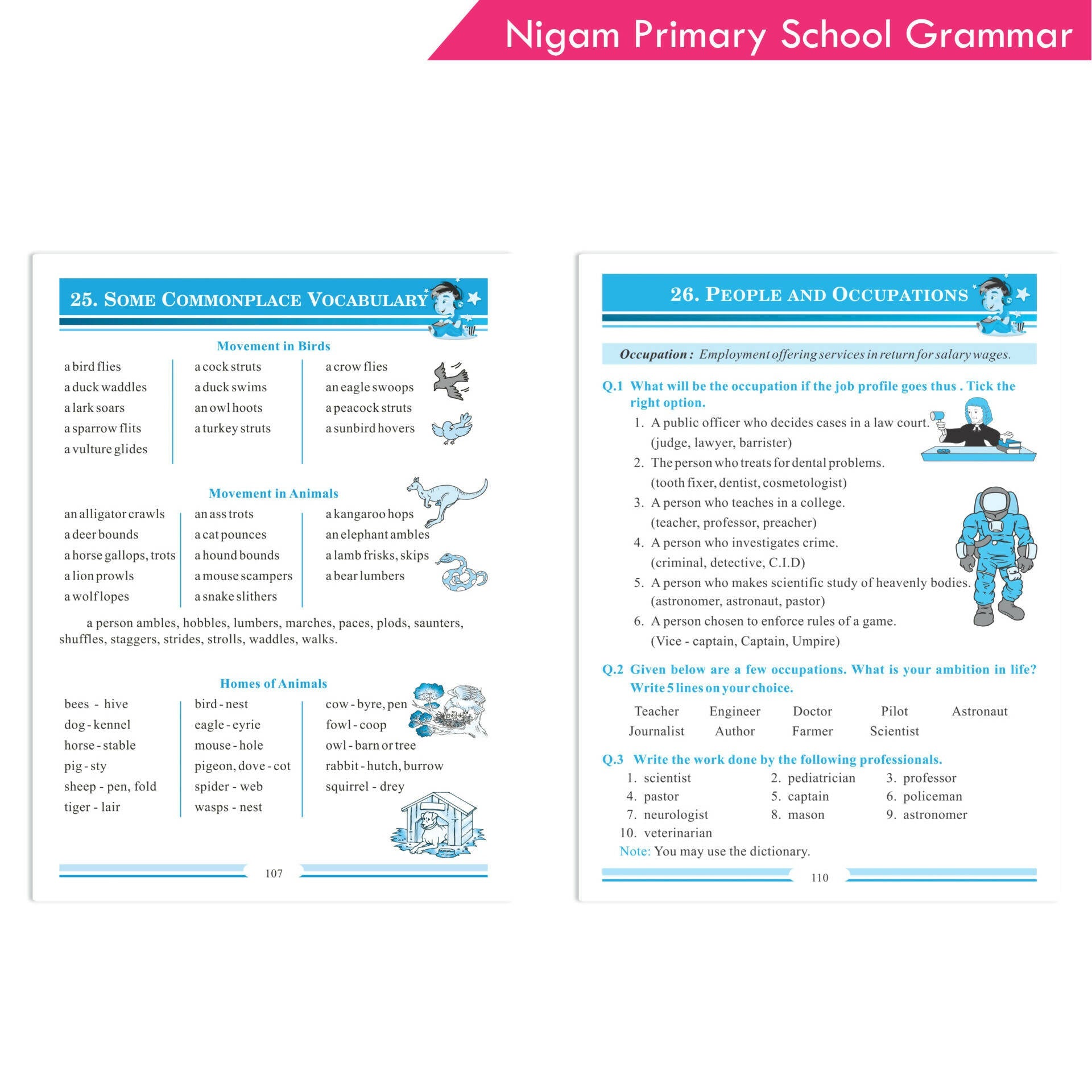 Nigam My Blue Book of Primary School Grammar * Suffix, Prefix, Homophones, Sentences, Preposition, Adverbs, Verbs, Pronouns, Adjectives, Nouns | Grocsy