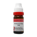 Dr. Reckeweg Echinacea Ang Dilution | Grocsy
