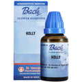 St. George's Bach Flower Remedies Holly | Grocsy