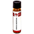 Bjain Homeopathy Arnica Montana Globules | Grocsy