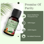 Satthwa Organic Tea Tree Essential Oil | Grocsy