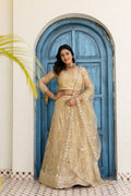 Lehenga Mart Net Lehenga With Cording Embroidery Work-Cream | Grocsy