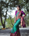 DEIANA'S Beautiful Designer Golden zari Soft Lichi Silk Saree - Sky | Grocsy