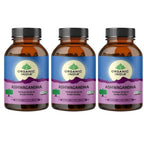 Organic India Ashwagandha Caps | Grocsy