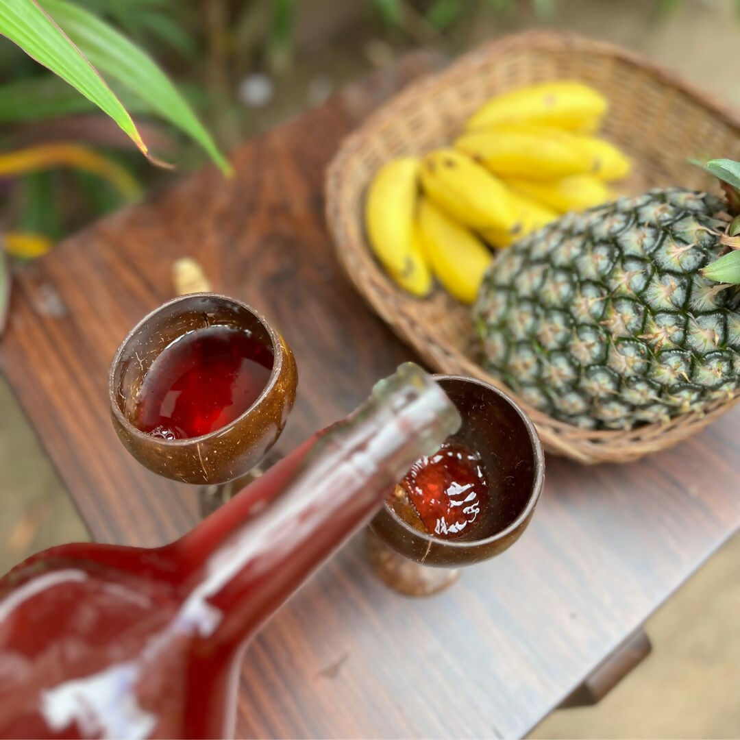 Thenga Coconut Shell & Wooden Wine Glasses | Grocsy