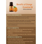 Ancient Living Orange Essential Oil | Grocsy