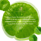 Auguste Skin FloraFusion Revitalizing Day Cream | Grocsy