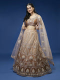 House of Panchhi Rust Net Gotapatti Work Lehenga & Blouse with Dupatta | Grocsy