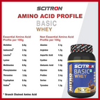 Scitron Nitro Series BASIC Whey Protein Chocolate Fantasy | Grocsy