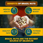 Urban Platter Brazil Nuts | Grocsy