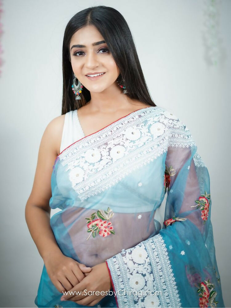 Vamsee Sambhuti Sky Organza Saree | Grocsy