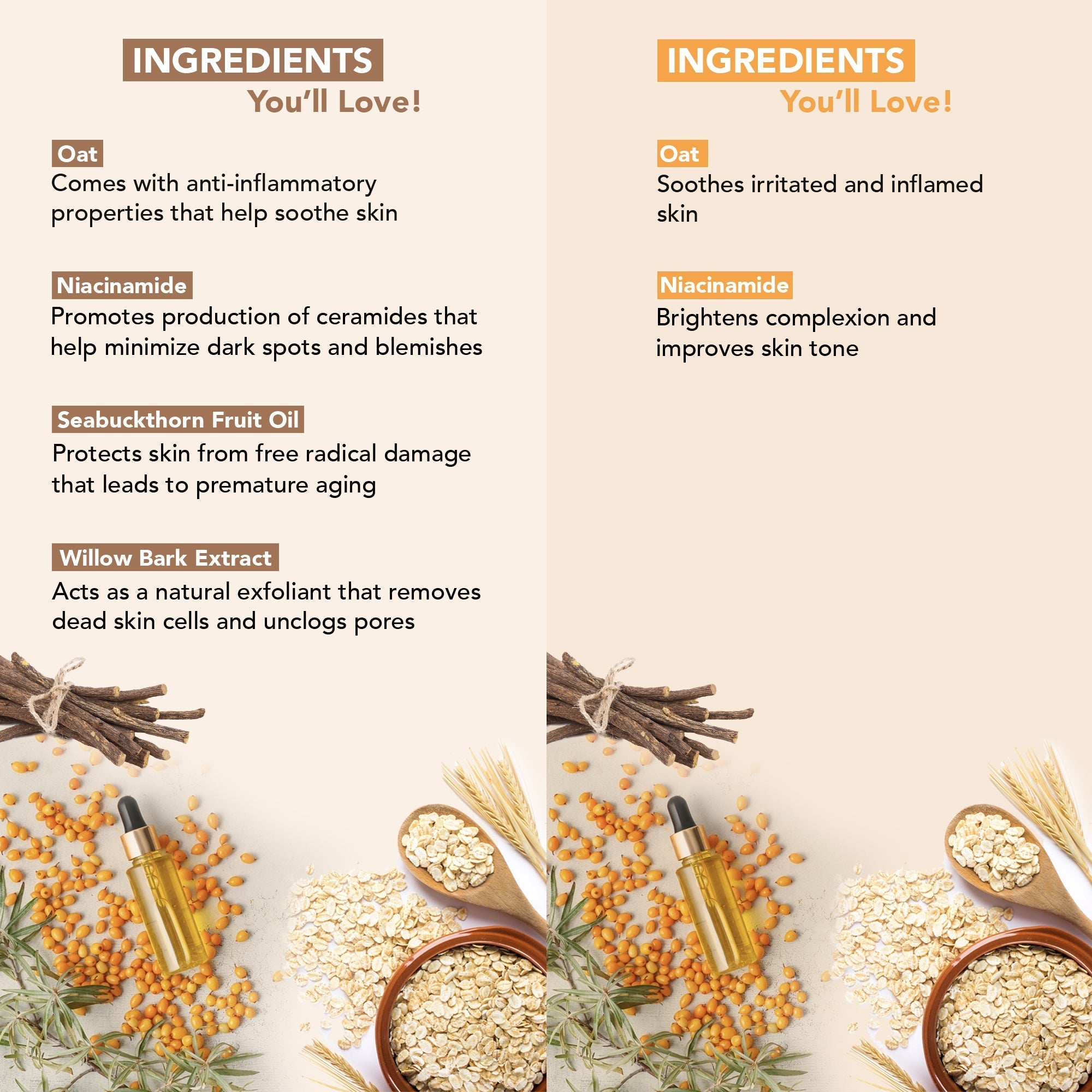 Botanic Hearth Oat & Niacinamide Bodywash - Facewash | Grocsy