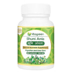 Vitagreen Ayurveda Bhumi Amla Capsules | Grocsy