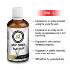 Ae Naturals Night Queen – Raat Rani Fragrance Oil | Grocsy