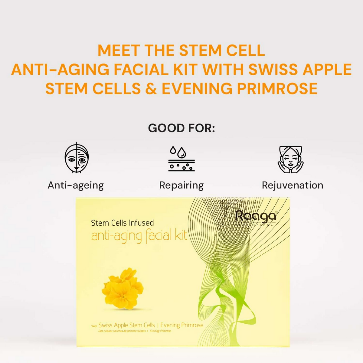 Raaga Professional Anti Aging Single Use Facial Kit | Grocsy