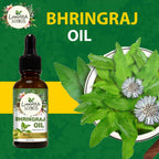 Luxura Sciences Bhringraj Hair Oil | Grocsy