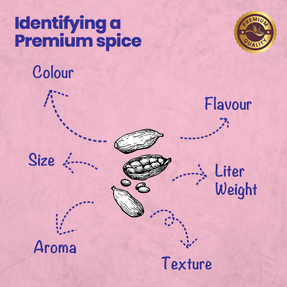 Crista Spices Cardamom | Grocsy