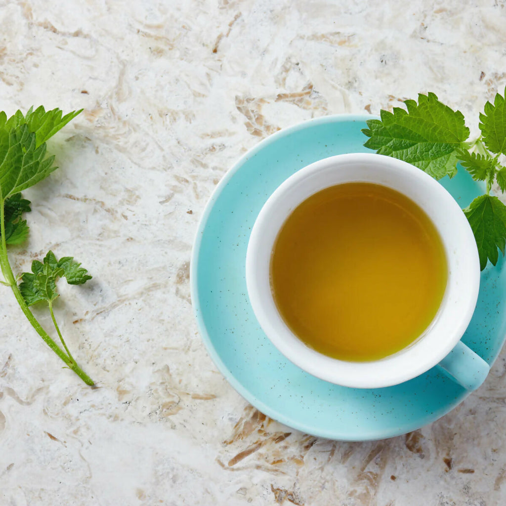 Oilcure Nettle Leaves | Grocsy