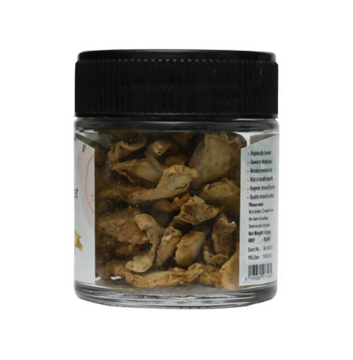 Nature's Box Dry Ginger | Grocsy