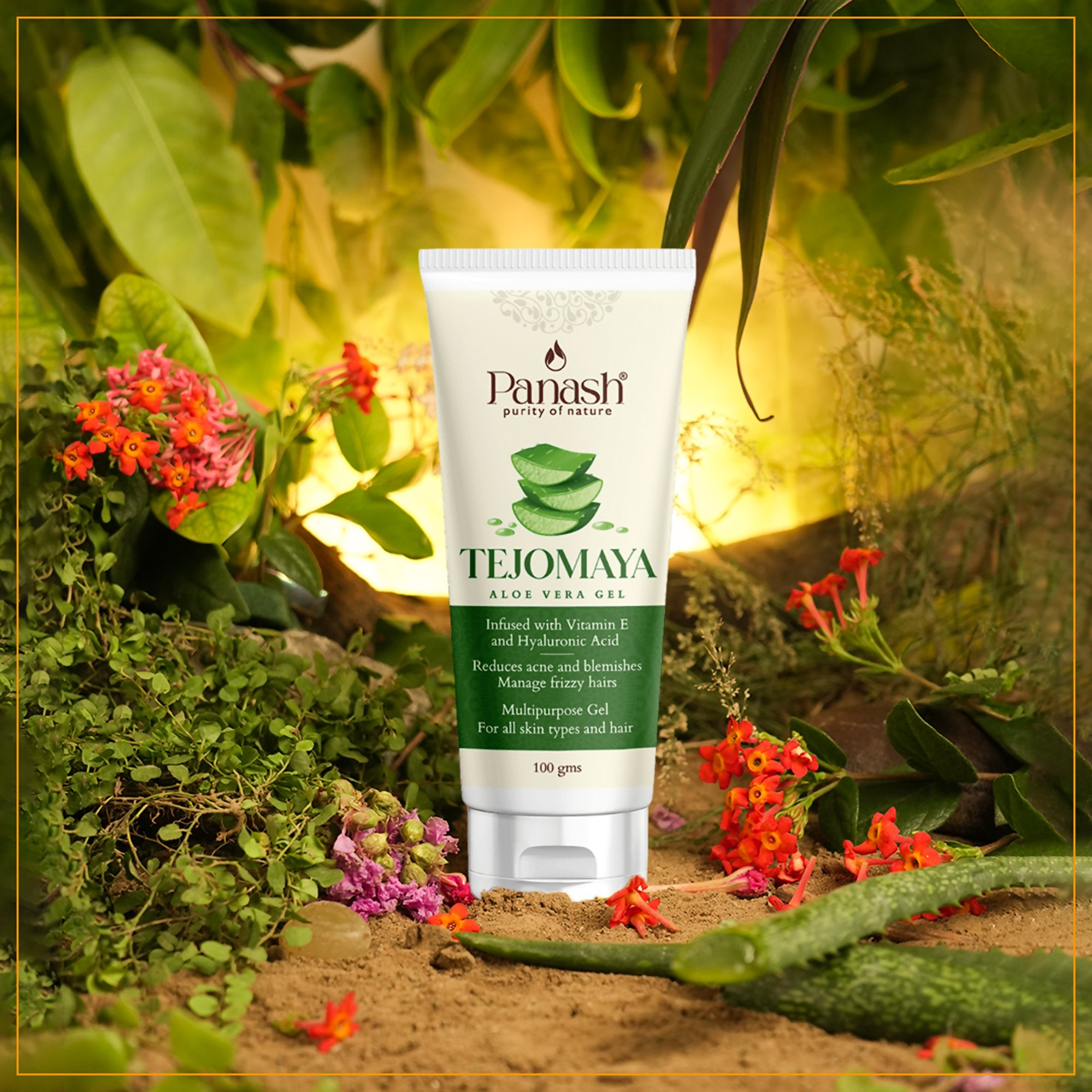 Panash Tejomaya Aloe Vera Gel | Grocsy