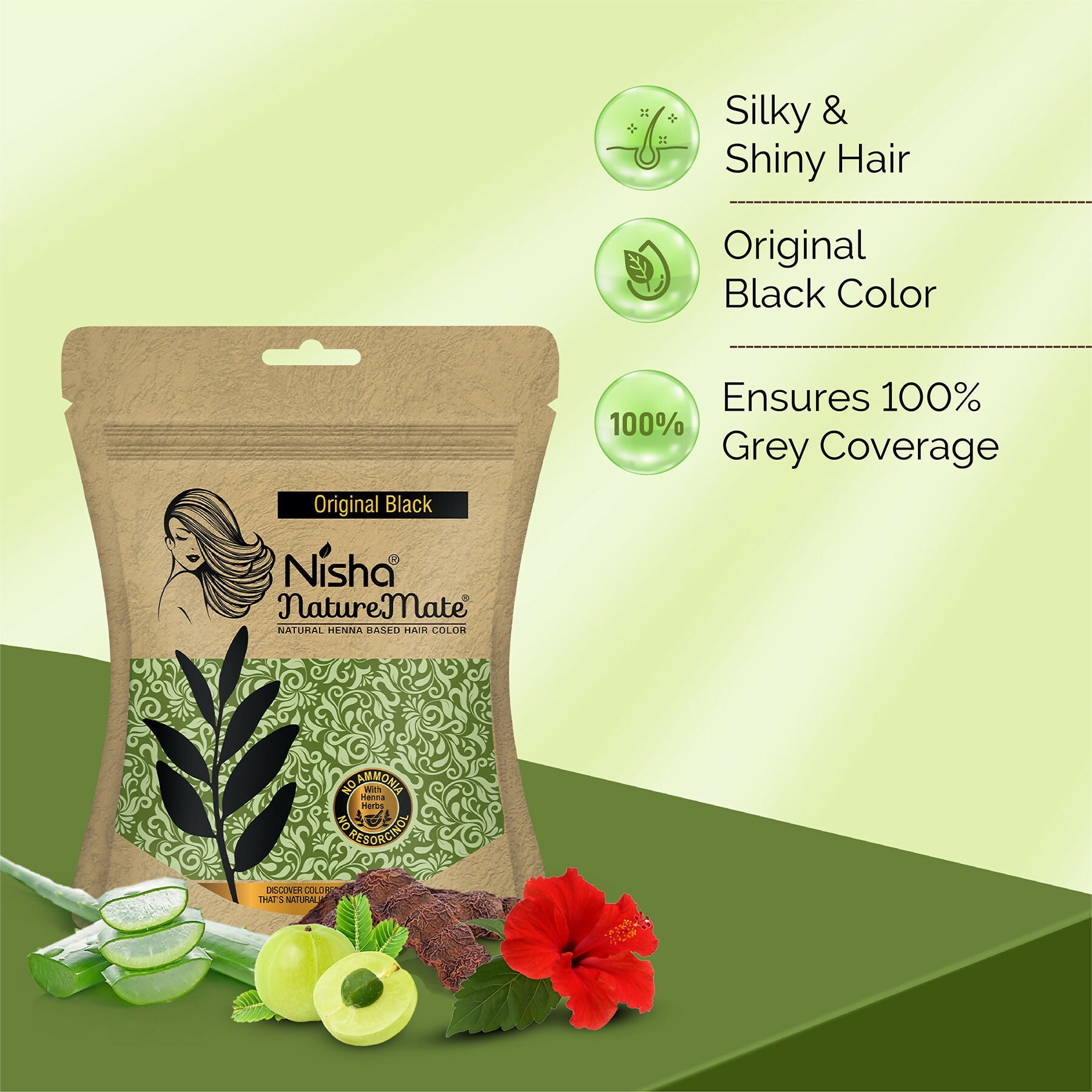 Nisha Hair Colour for Women-Natural Black|100% Pure Henna-Based Powder | Grocsy