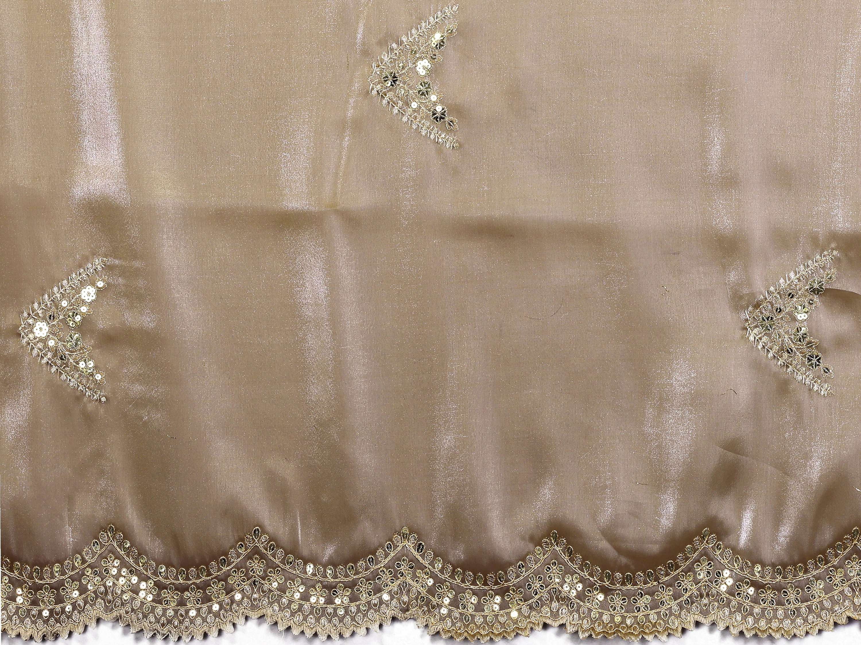 Vastranavya Beige Embroidery Work Shimmer Chiffon Saree with Unstitched Blouse | Grocsy
