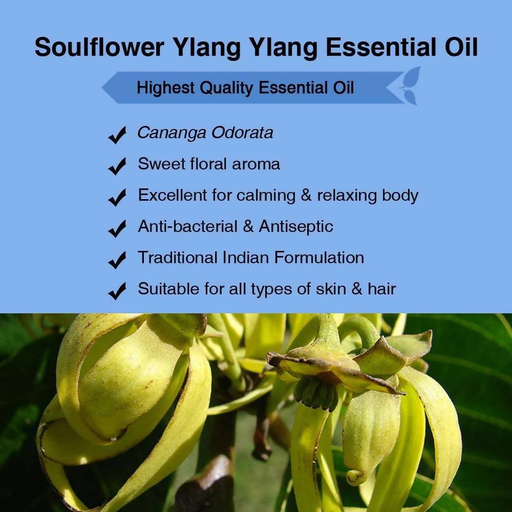 Soulflower Ylang Ylang Essential Oil | Grocsy
