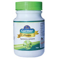 Wilson Gurmar (Meshashringi) Gymnema Sylvestre Powder | Grocsy