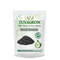 Yuvagrow Black Sesame | Grocsy