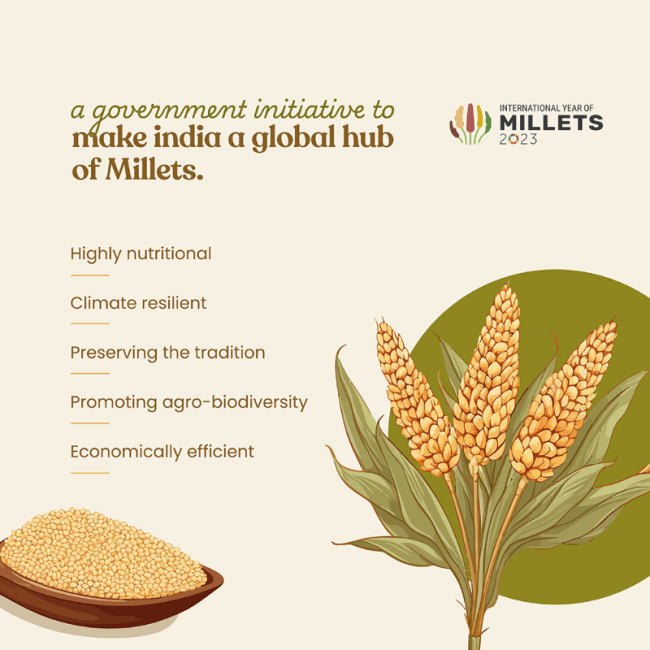Bharat Vedica Organic Pearl Millet - Organic Bajra | Grocsy