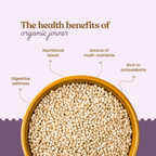 Bharat Vedica Organic Sorghum Millet - Organic Jowar | Grocsy