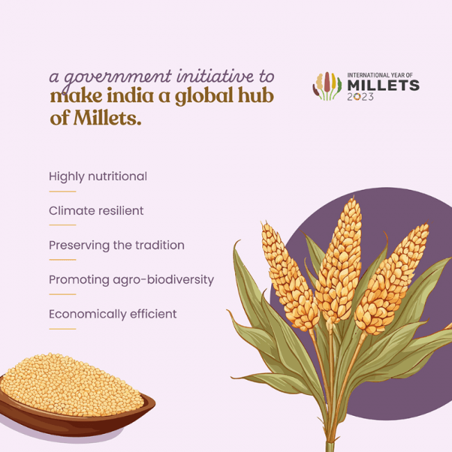 Bharat Vedica Organic Sorghum Millet - Organic Jowar | Grocsy
