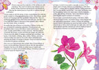 Dreamland The Timeless Wisdom Of Flozy Reiki | Grocsy