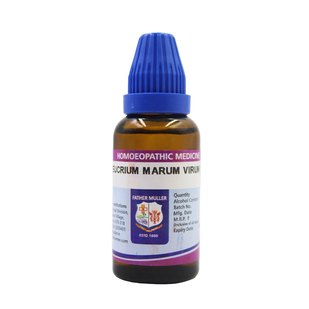 Father Muller Teucrium Marum Virum Dilution | Grocsy