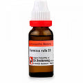 Dr. Reckeweg Formica Rufa Mother Tincture Q | Grocsy
