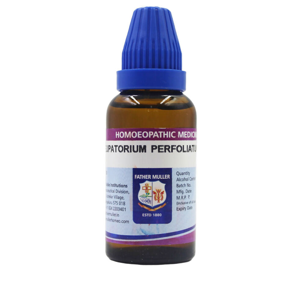 Father Muller Eupatorium Perfoliatum Dilution | Grocsy
