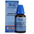 St. George's Bach Flower Remedies Chestnut Bud Dilution | Grocsy