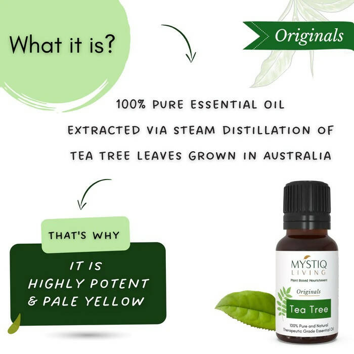 Mystiq Living Originals Tea Tree Essential Oil | Grocsy