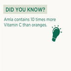 Vitro Naturals I Am Tasty Amla Candy | Grocsy