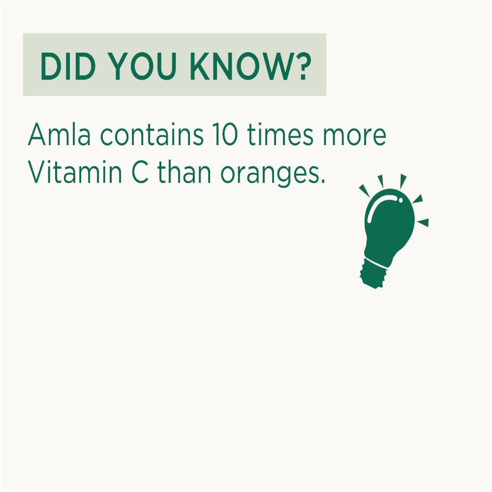Vitro Naturals I Am Tasty Amla Candy | Grocsy