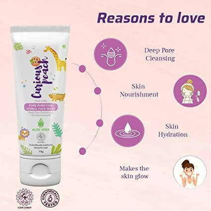 Curious Peach Pore Purifying Herbal Face Wash | Grocsy