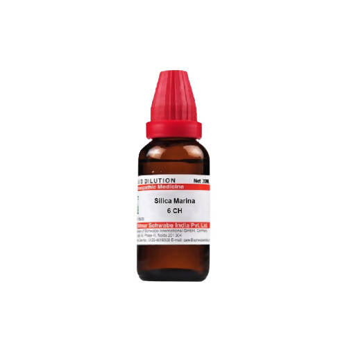 Dr. Willmar Schwabe India Silica Marina Dilution | Grocsy