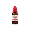 Dr. Willmar Schwabe India Silica Marina Dilution | Grocsy
