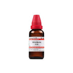 Dr. Willmar Schwabe India Silica Marina Dilution | Grocsy