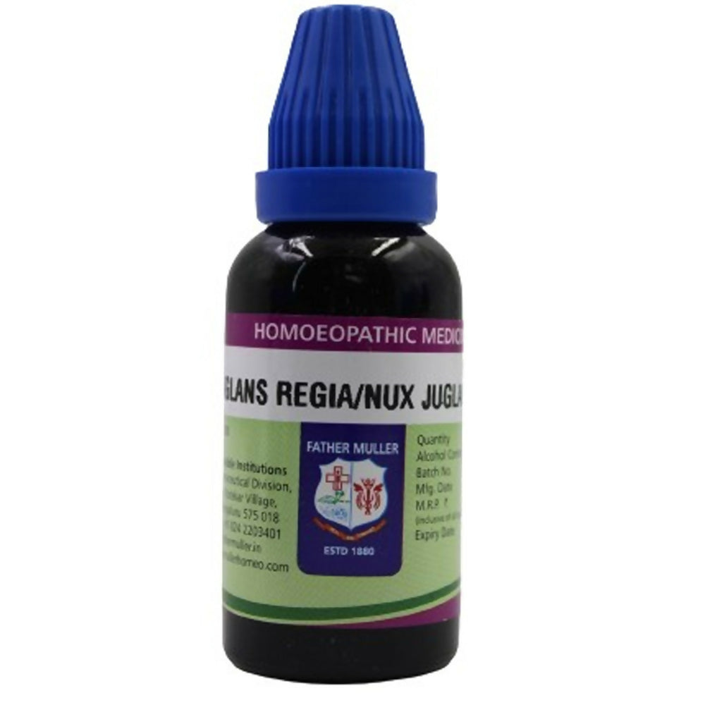 Father Muller Juglans Regia Mother Tincture Q | Grocsy