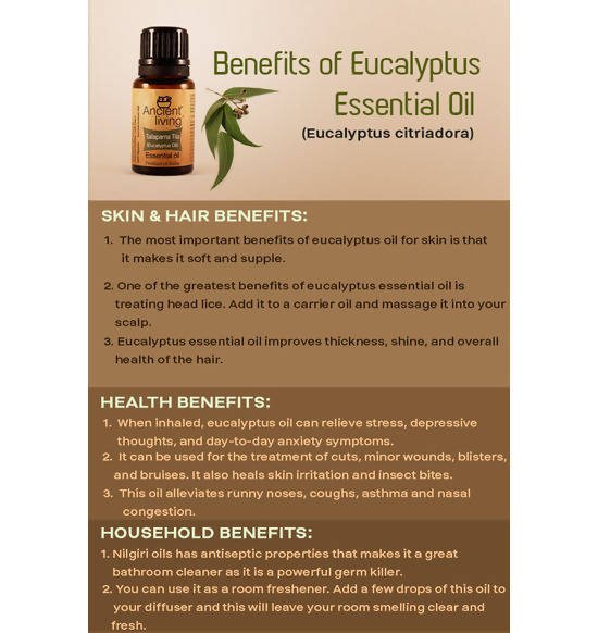 Ancient Living Tailaparna Tila (Eucalyptus Oil) Essential Oil | Grocsy