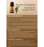 Ancient Living Tailaparna Tila (Eucalyptus Oil) Essential Oil | Grocsy