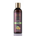 Prisa Organics Olive and Aloe Vera Shampoo | Grocsy