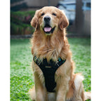 Waggety Adjustable Full Body Dog Harness - Comfortable Fit, Lightweight Polyester, Black | Grocsy